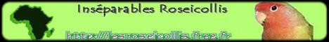 Site d'Estelle passionne de Roseicollis